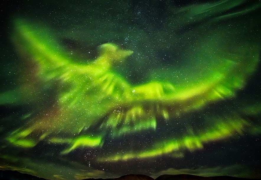 Phoenix Aurora
